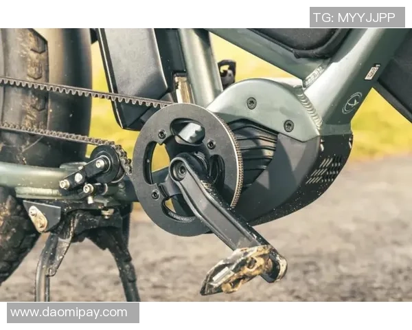 科学滑板训练方法揭秘提升实力的有效技巧与策略